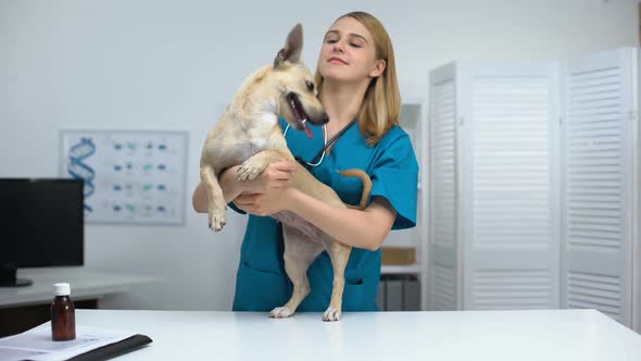 Smiling Vet Doctor Stroking Smiling Dog at Veterinary Clinic, Pet Health Checkup