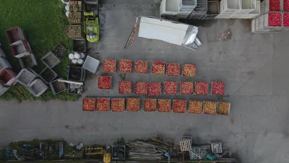 Arial shot decending down on Apple Orchard Bins from above