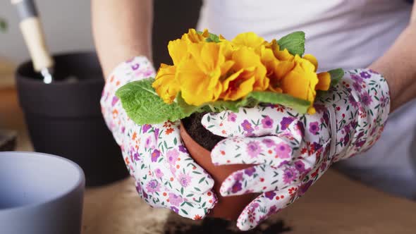 Close up video of planting flowers at home. Shot with RED helium camera in 8K.