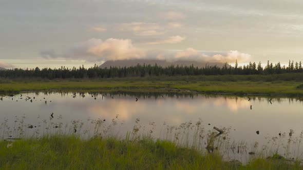 Vibrant layers of wilderness depth sunrise over river 4k