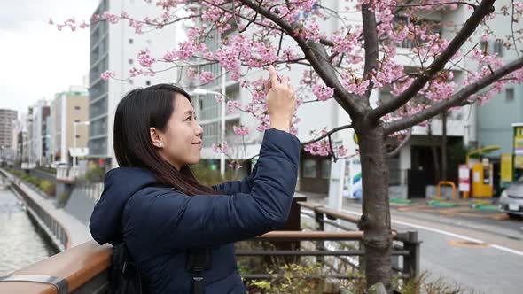 Woman taking photo with sakura tree in Tokyo city