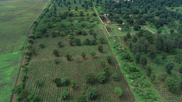 aerial view of the nature side of Arusha, Tanzania