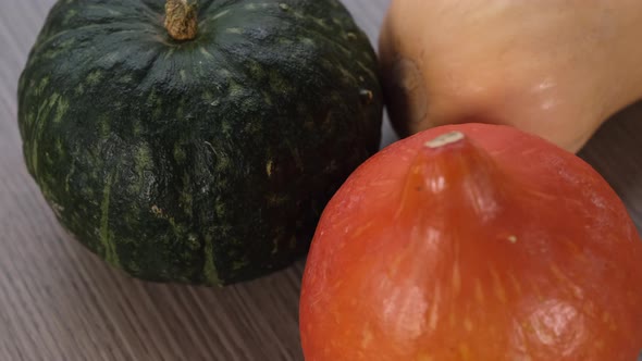 Colorful pumpkins rotating. Group of fresh healthy vegetables. Green, orange and yellow pumpkin food