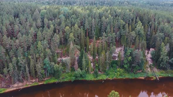  Cliff of Sietiniezis Rock, Latvia. Gauja National Park. 