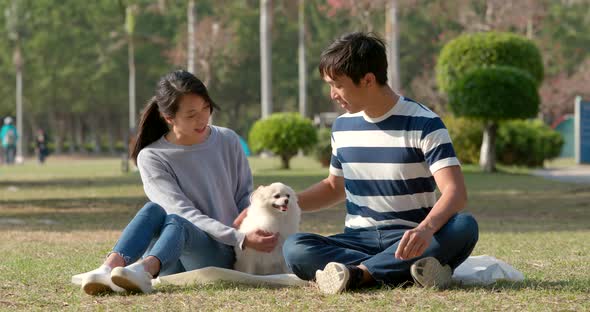 Couple Play with Dog Together at Outdoor Park