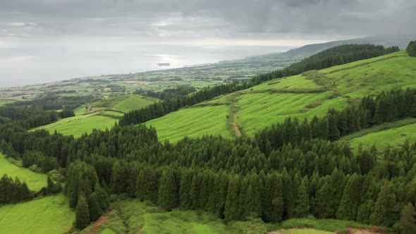 Picturesque Archipelago Covered with Lush Greenery