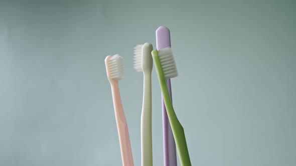 Four Toothbrushes Spin
