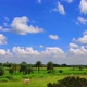 Landscape Autumn Sky with deep blue sky and white clouds hovering over the line green ground. - VideoHive Item for Sale