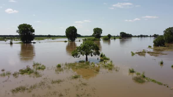 Floodplains and drowned trees at river Maas in the Netherlands, Aerial