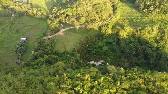 Lush Forest and Village in Philippines