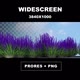 Purple Flowers Growing - VideoHive Item for Sale