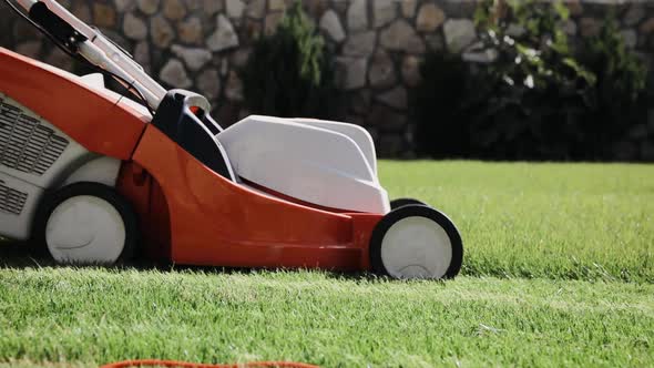 A man mows the grass in the backyard with an electric lawn mower. Close up shot of grass mowing