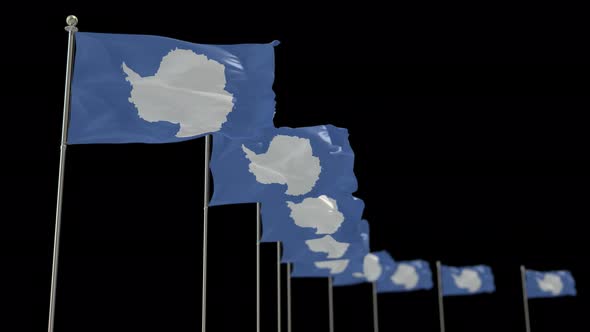 Antarctica Row Of Flags Animation Include Alpha Channel