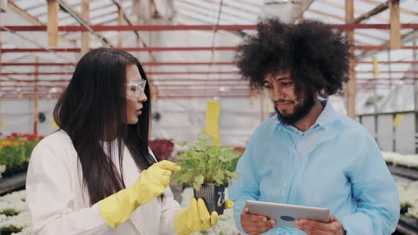 Young Agricultural Scientists in Medicine Robe with Tablet PC Examining Plant Leaves