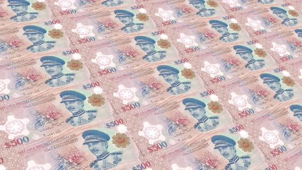 Brunei Money / 500 Brunei Dollar 4K
