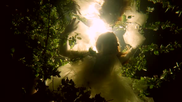 Silhouette of an Elegant Mermaid Girl Swimming Underwater in a Dress Among Bushes of Underwater