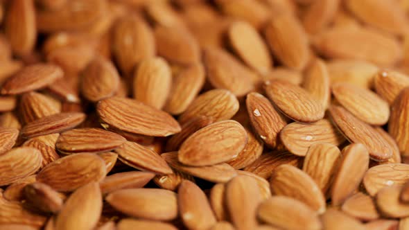 Countless amount of almonds. Trucking animation. Pile of tasty crunchy nuts.