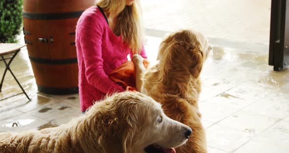 Woman with her dogs at home 4k