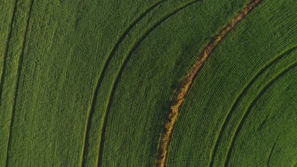 Aerial Footage from a Plantation in Sao Paulo Brazil