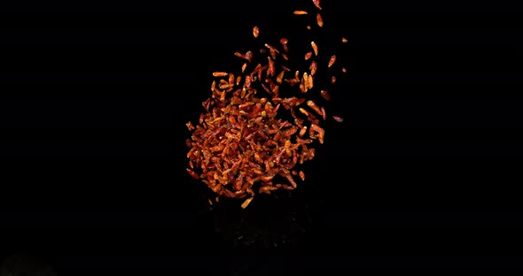 Cayenne Chili Pepper, capsicum frutescens, spice falling against Black Background, Slow Motion 4K