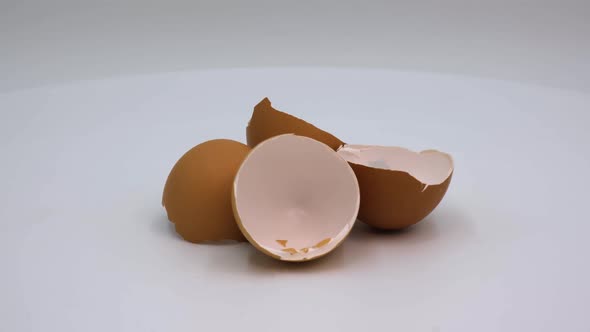 Eggshell