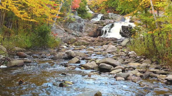 Colorful trees along creek with rapids in autumn