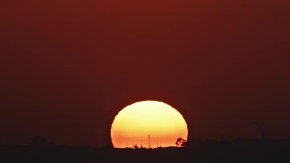 Timelapse Huge Golden Sun Disk Going Down Behind Horizon Line Close Up Sunset