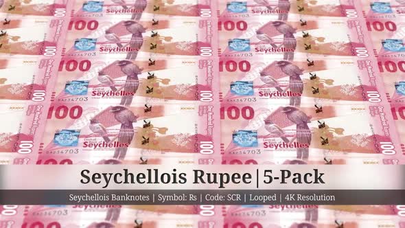 Seychellois Rupee | Seychelles Currency - 5 Pack | 4K Resolution | Looped