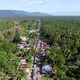 Car convoy in forest - VideoHive Item for Sale