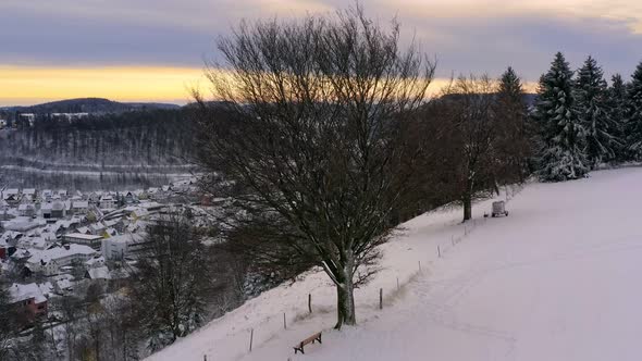 Idyllic winter place. A single bench in front of a snowy landscape. Unveiling shot from behind trees