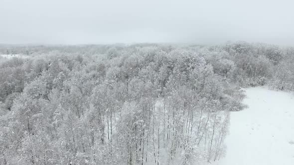 Aerial: Snow-covered countryside in winter