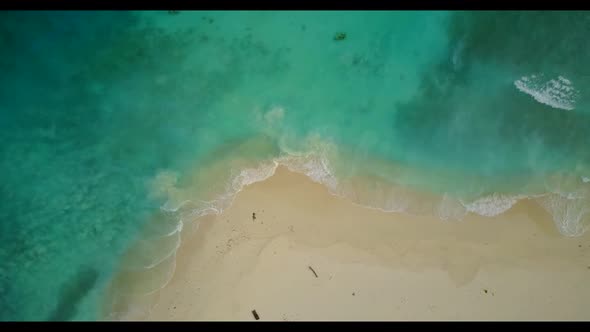 Aerial drone travel of beautiful lagoon beach wildlife by transparent ocean with clean sand backgrou