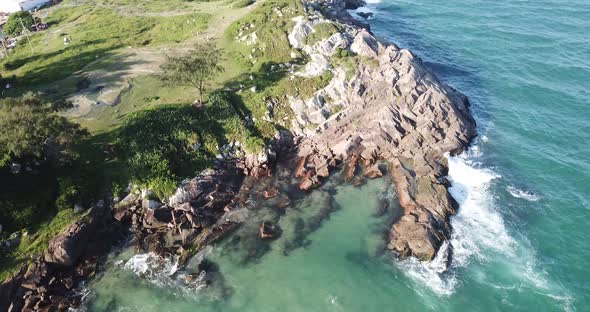 Aerial footage of the the beautifu rocks and sunny beach of Armação in Florianópolis, Brazil.