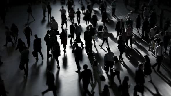 Crowds of Pedestrians Commuting in Metropolis