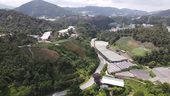 Cameron Highlands, Pahang Malaysia