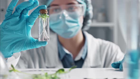 Woman Holding Transparent Glass Test Tube With Liquid, Microgreens Inside. Growing Sprouts