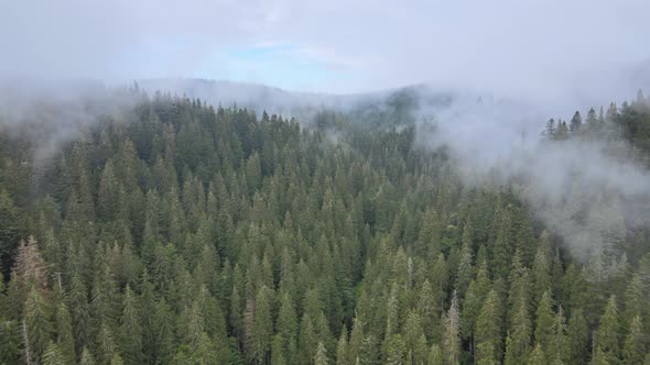 Fog in the Mountains. Aerial View of the Carpathian Mountains in Autumn. Ukraine