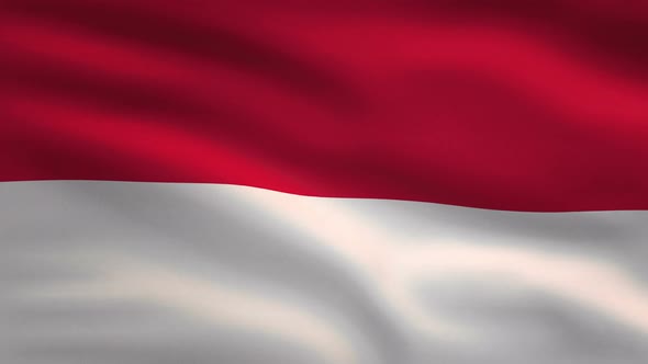 Indonesia Windy Flag Background 4K