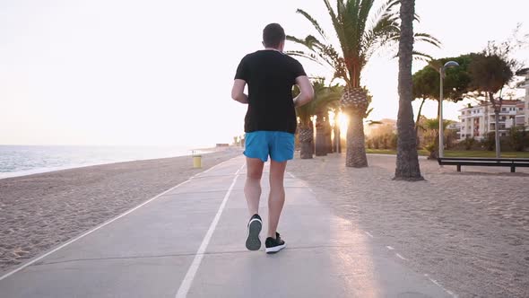 Townsman Is Jogging in Dusk Time in City Quay Between Sea and Palm Trees