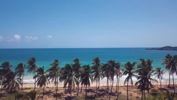 4k 24fps Dron Shoot In The Caribbean Beach With Pamlstree With Waves In The Sea 2