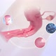 Ovarian Structure - VideoHive Item for Sale