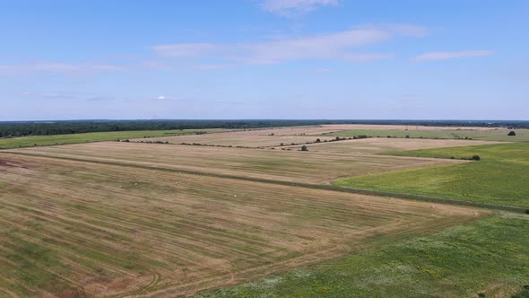 Aerial View of a Farm in Ukraine on a Bright Day