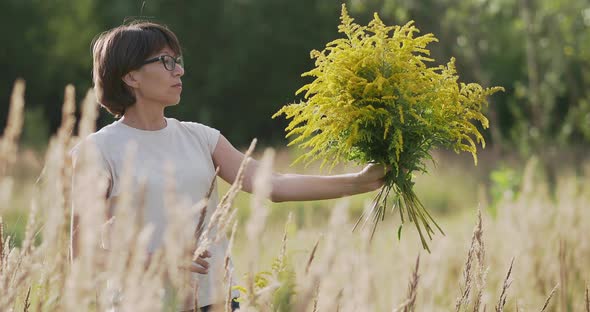 Woman is Picking Solidago Commonly Called Goldenrods on Autumn Field