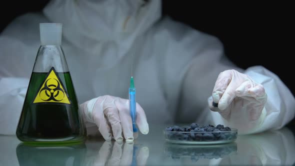 Biologist With Syringe and Blueberry, Flask With Biohazard Liquid on Table