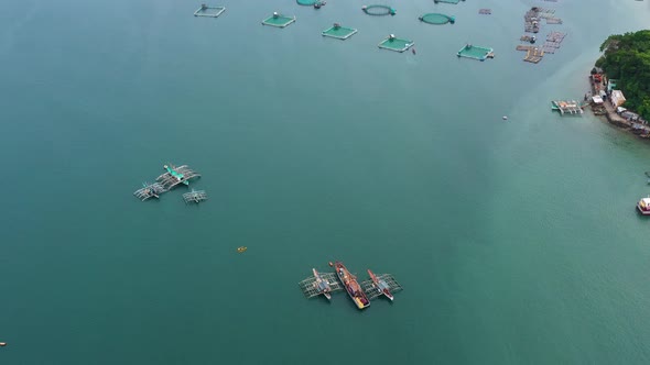 Fish Farm with Cages for Fish and Shrimp, Top View. Fish Cage for Tilapia, Milkfish Farming