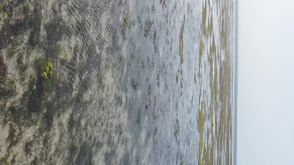 Vertical Video of Low Tide in the Ocean Near the Coast of Zanzibar Tanzania Aerial View