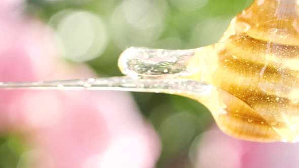 Dripping Pouring Natural Honey From Wooden Dripper on Blurred Pink Field Flower