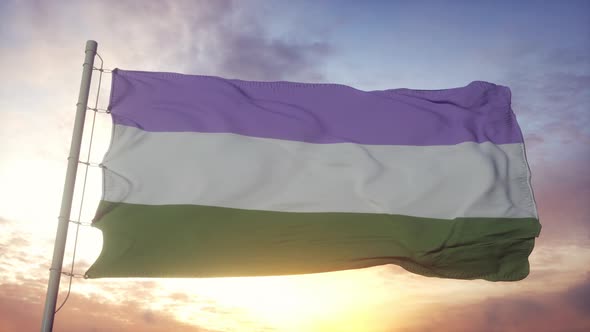 Genderqueer Pride Flag Waving in the Wind Sky and Sun Background