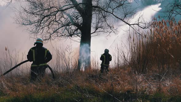 Two Firefighters in Equipment Extinguish Forest Fire with Fire Hose. Slow Motion