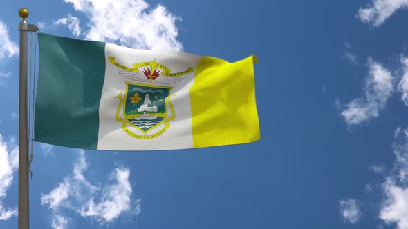 Yellowknife City Flag (Canada) On Flagpole